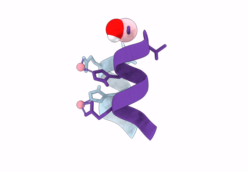9MDG image