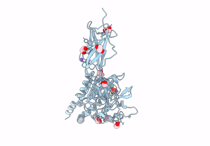 9MDM image