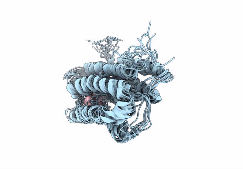 9MEM image