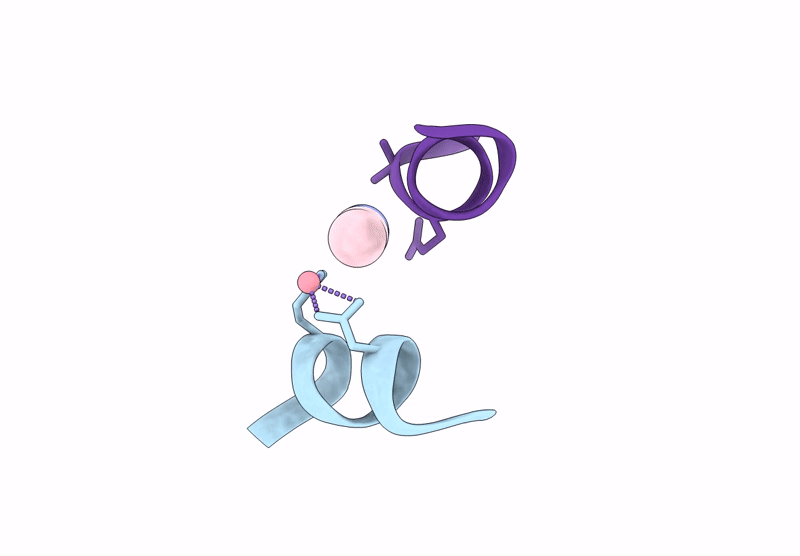 9MEO image