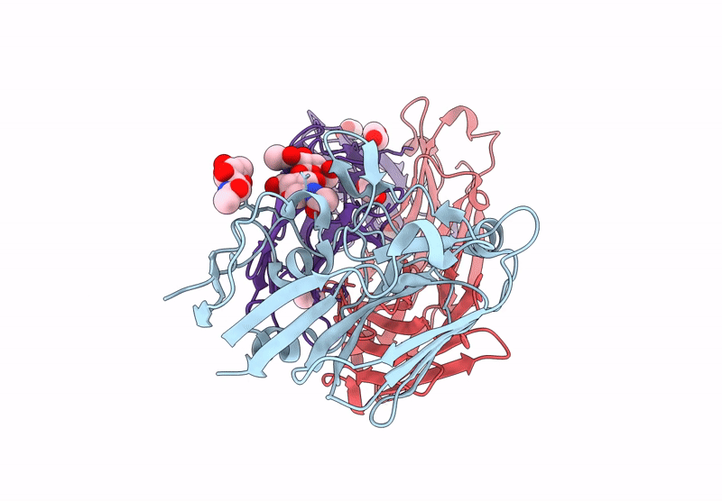 9MEV image