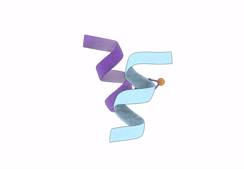 9MFI image