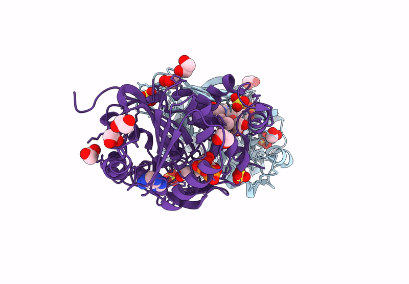 9MG1 image