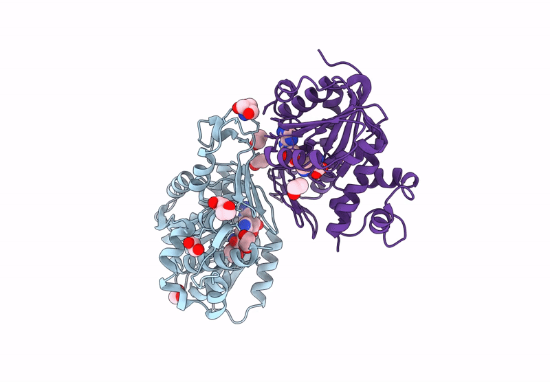9MG2 image