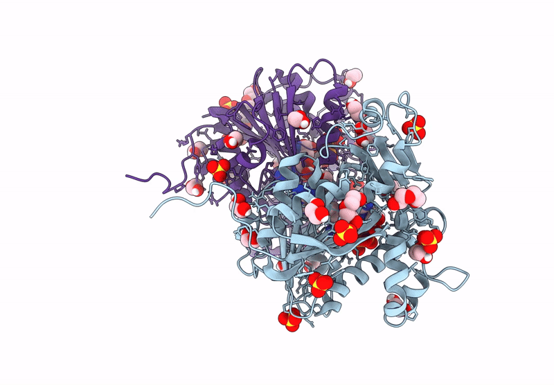 9MG5 image