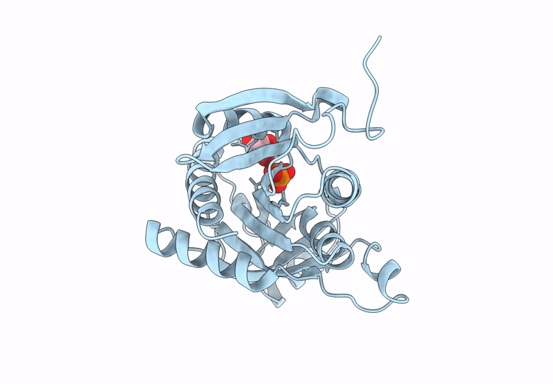 9MG7 image