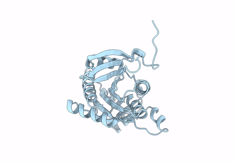 9MGV image