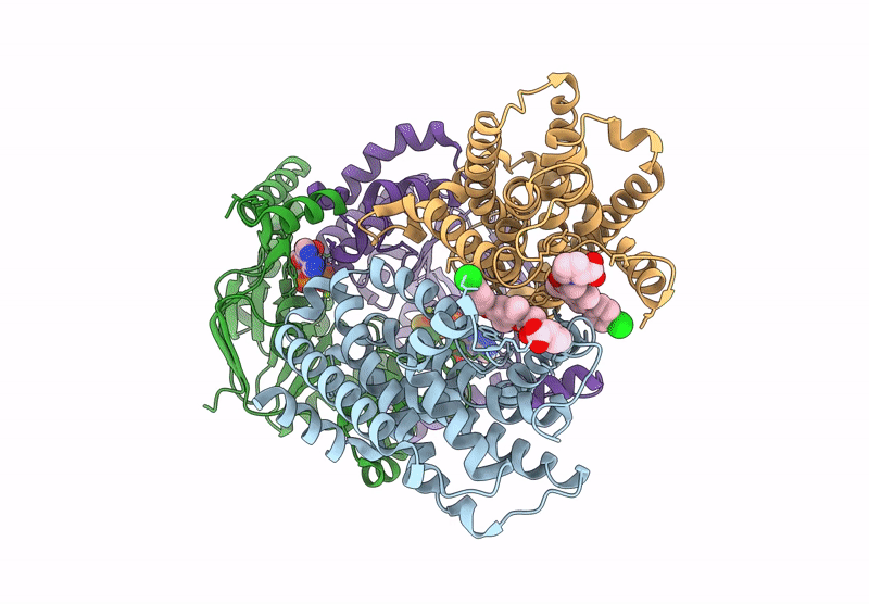 9MHU image