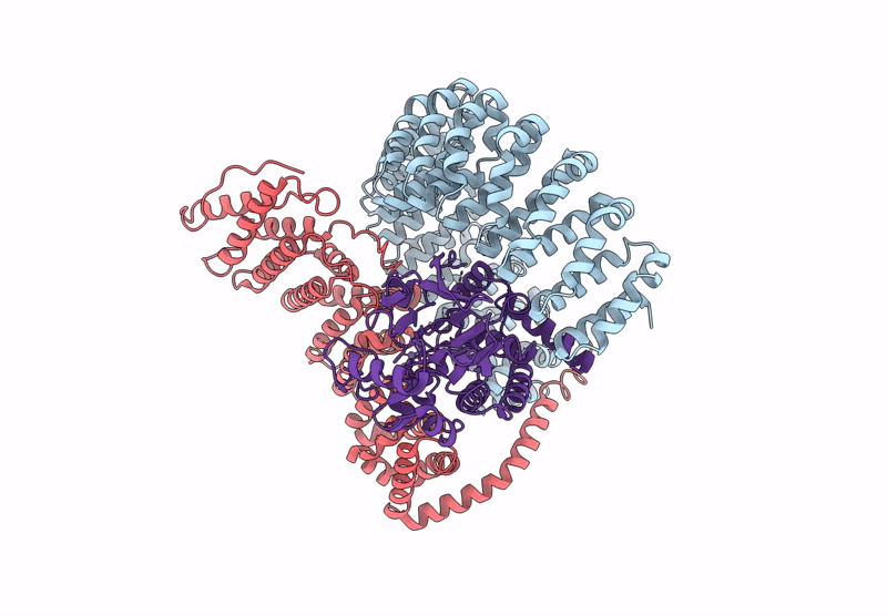 9MIP image