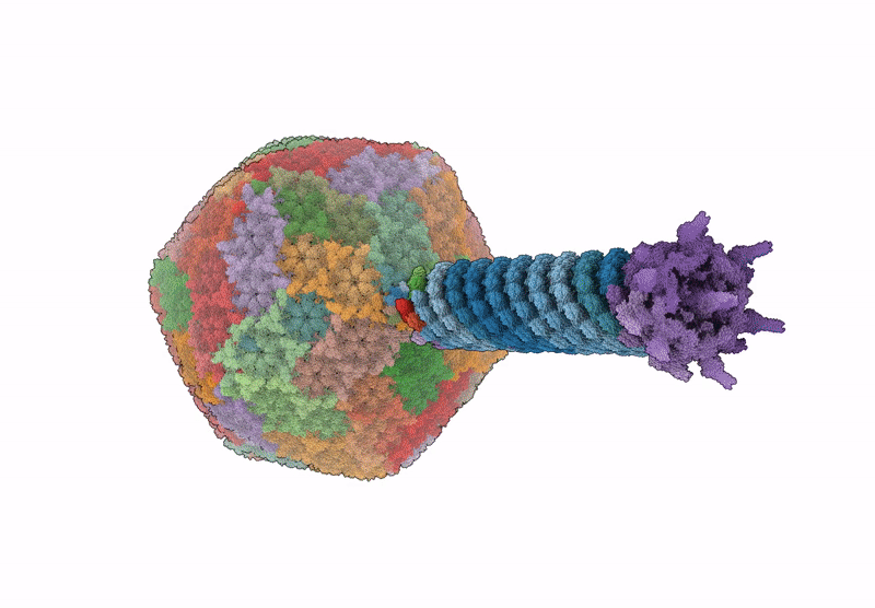 9MJN image