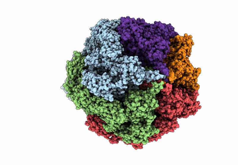 9MLI image