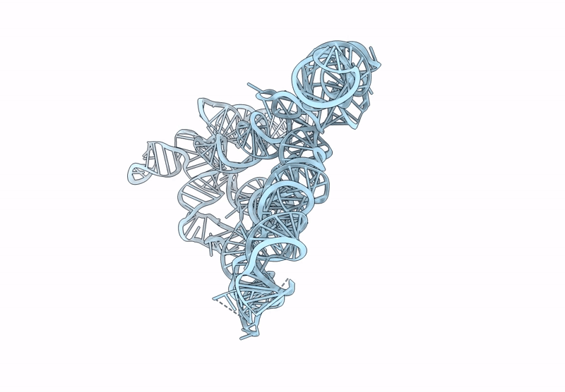9MMG image