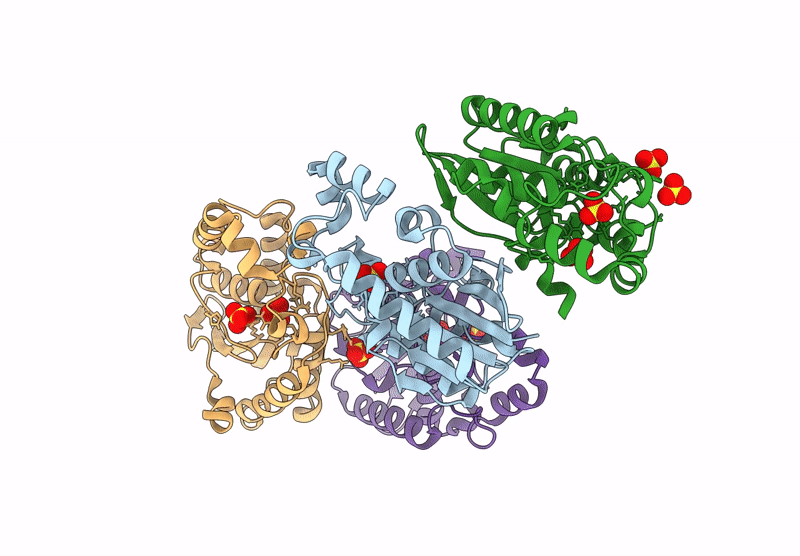 9MMH image
