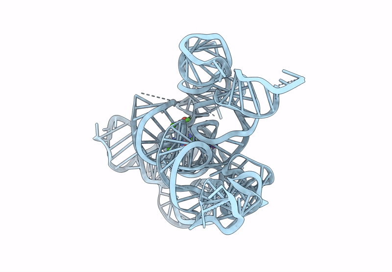 9MQS image