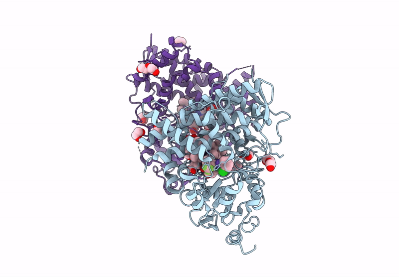 9MS2 image