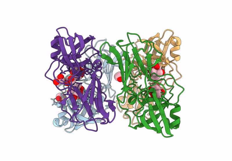 9MS5 image