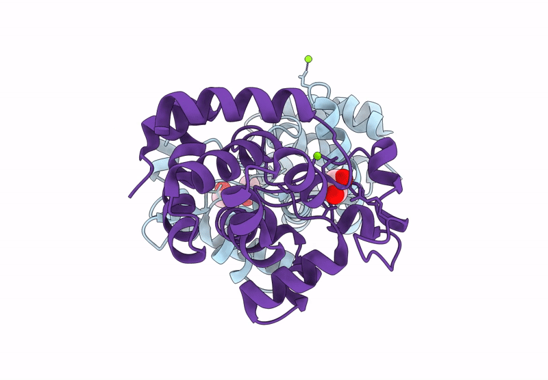 9MS7 image