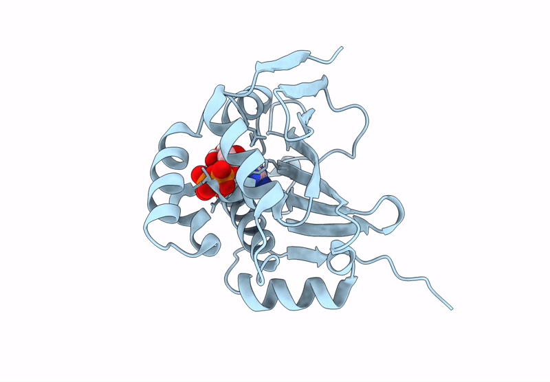 9MTB image