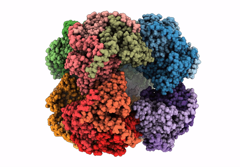 9MU6 image