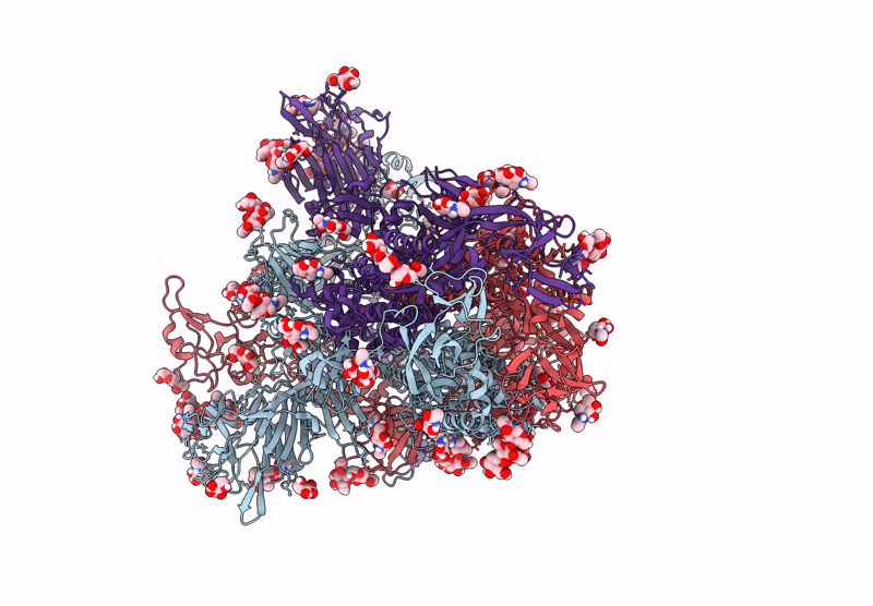 9N12 image