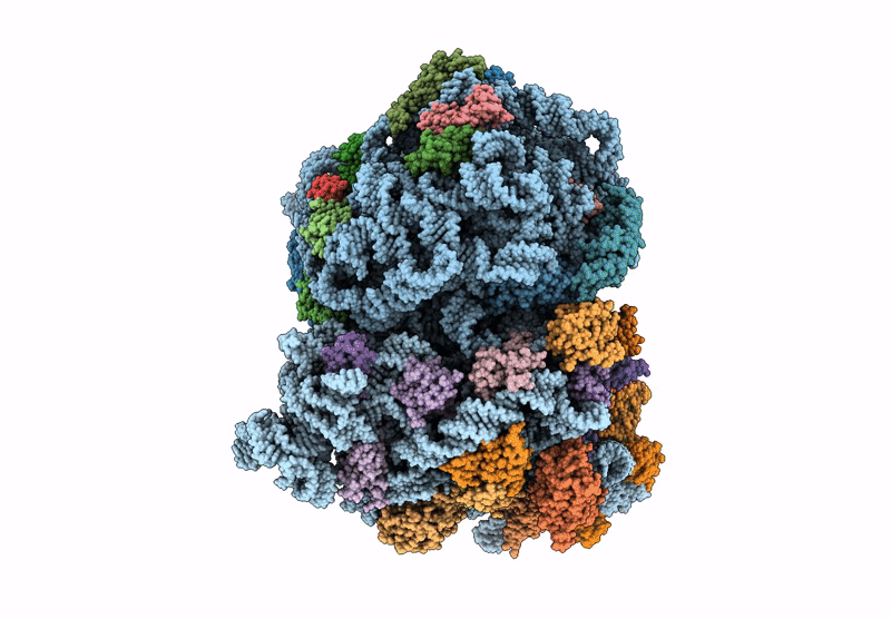 9N2C image