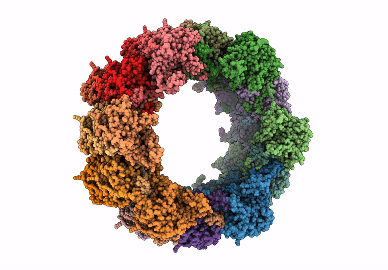 9N4V image