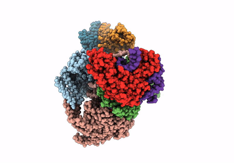 9N6B image