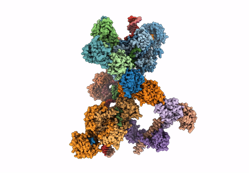 9N81 image