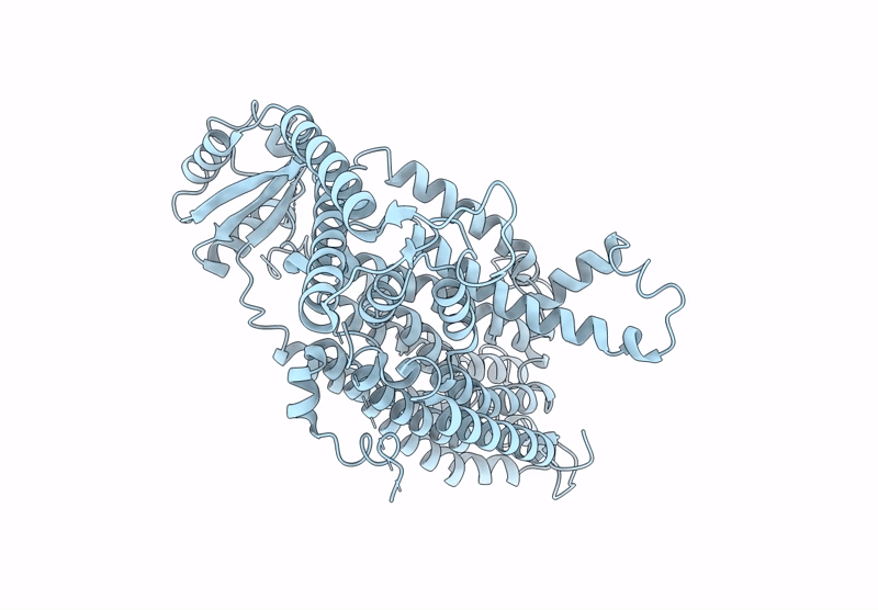 9N93 image