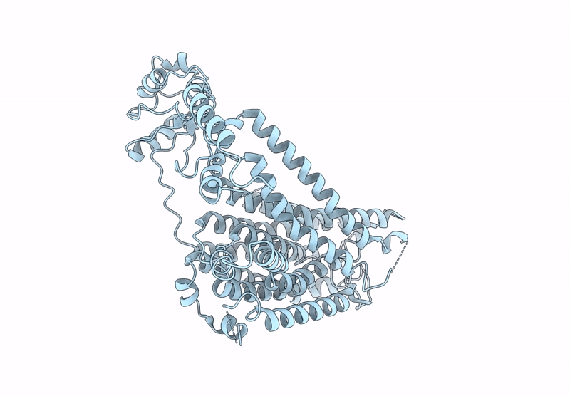 9N95 image