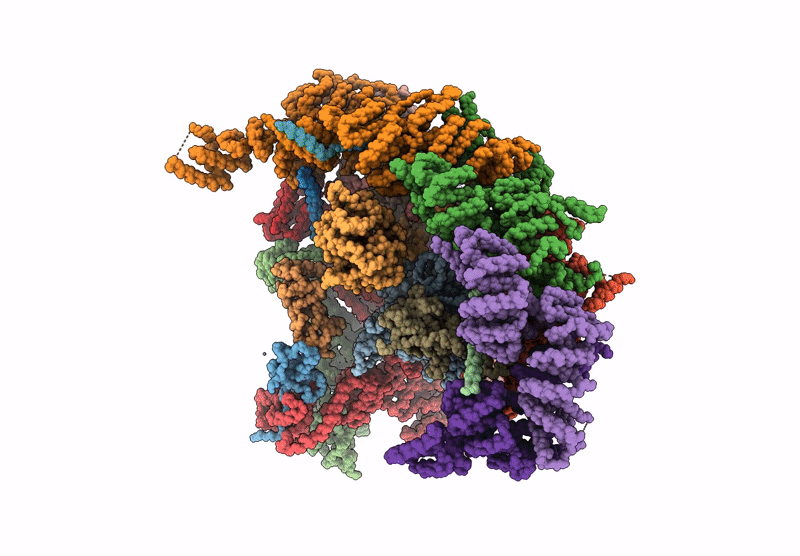9N9R image