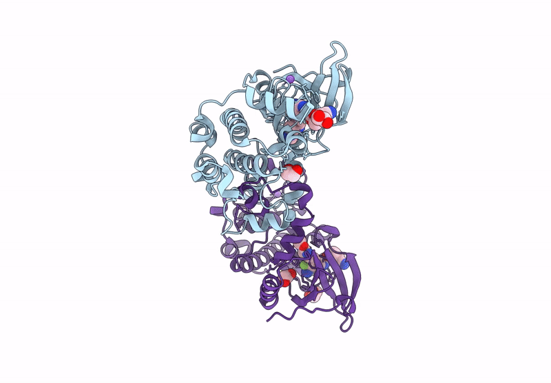 9N9X image