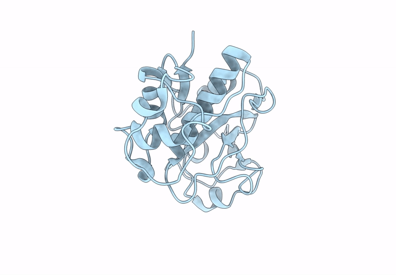 9NCC image
