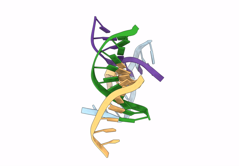 9NDB image