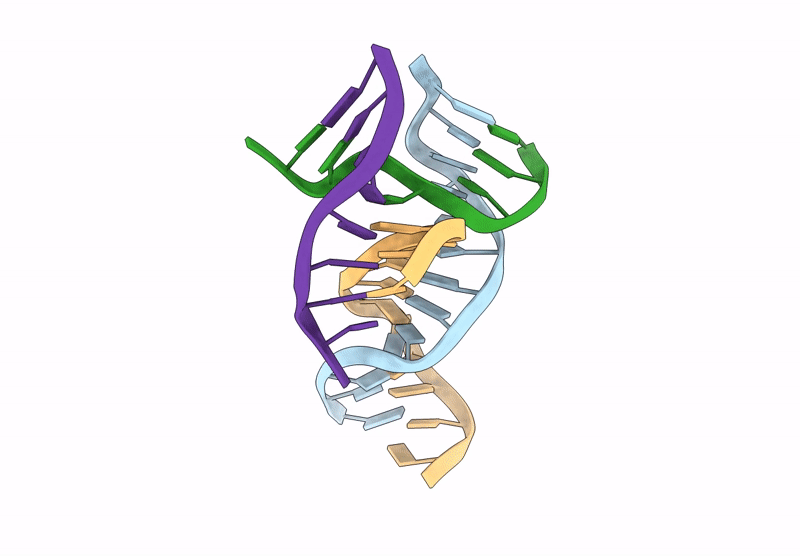9NDI image