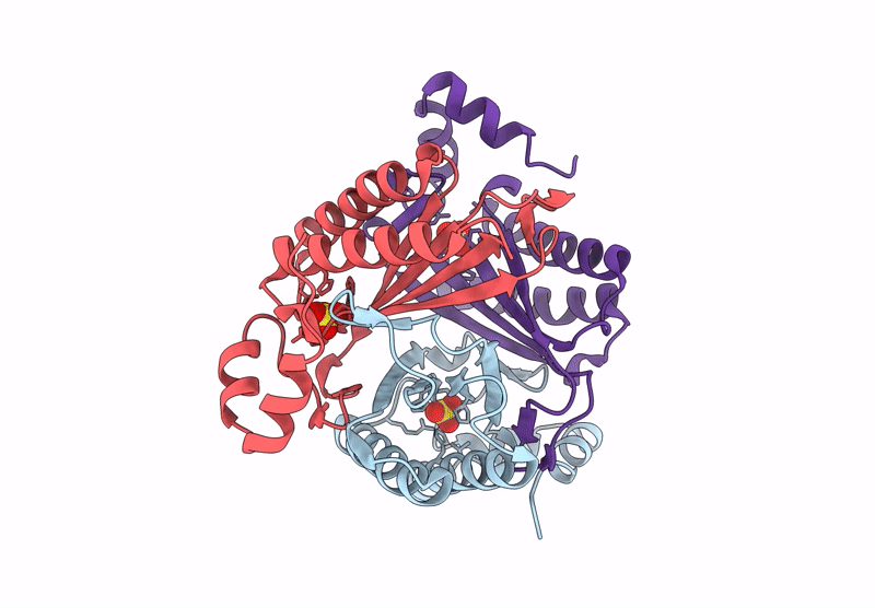 9NF1 image