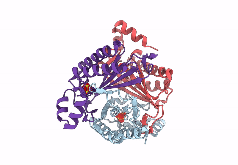 9NF3 image