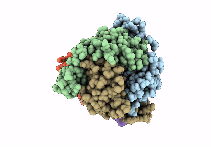 9NF4 image