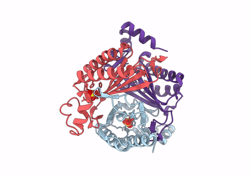 9NF9 image