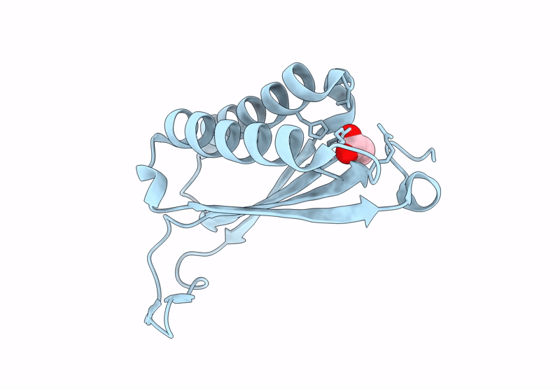 9NFH image