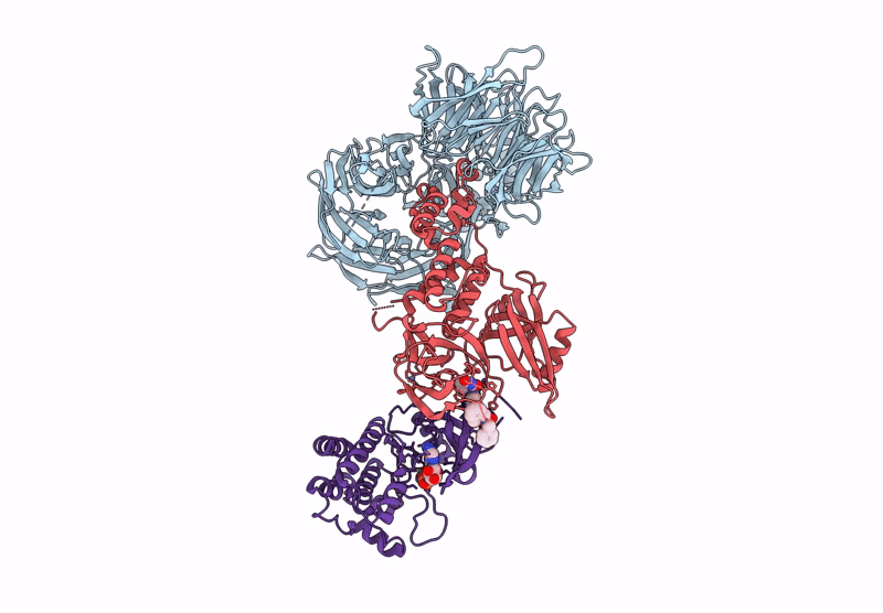 9NFQ image