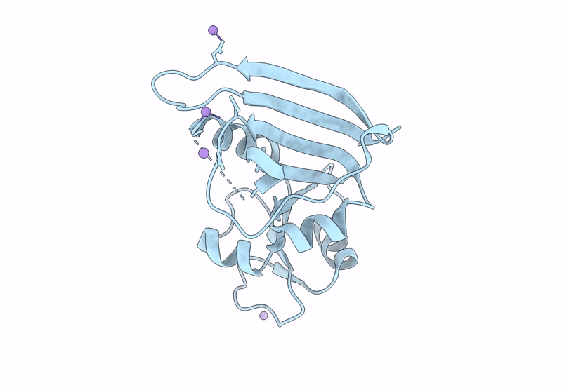 9NJO image