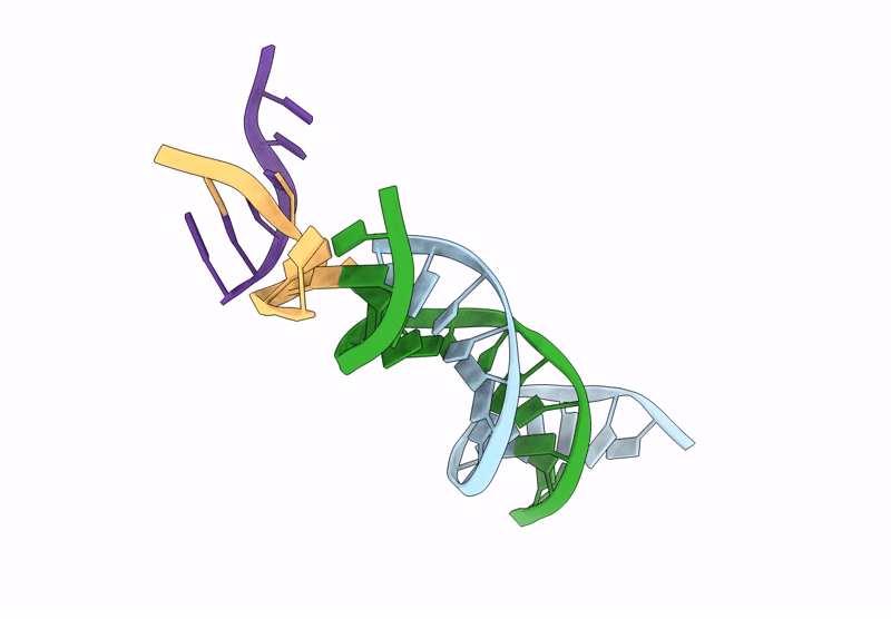 9NJX image