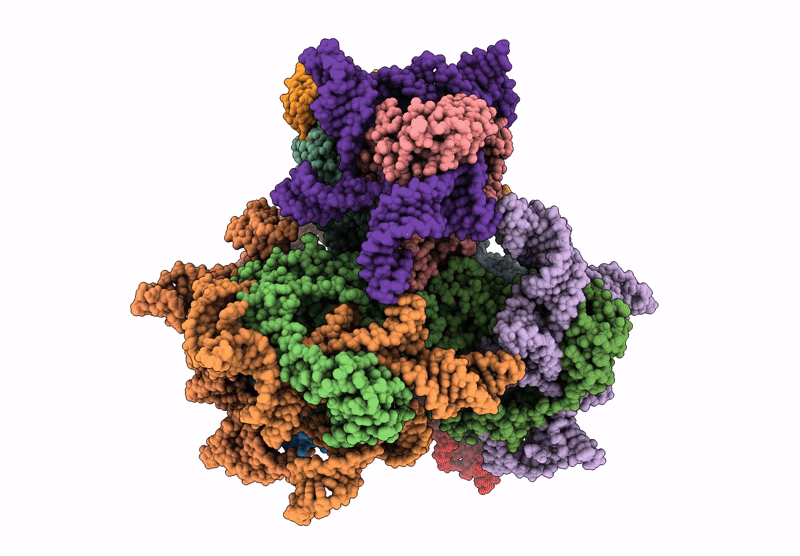 9NLV image
