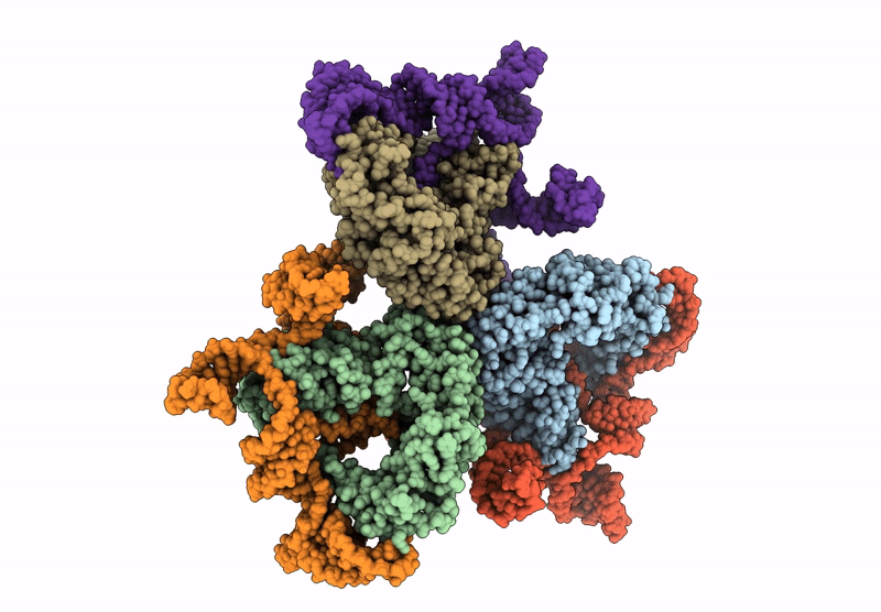 9NLX image