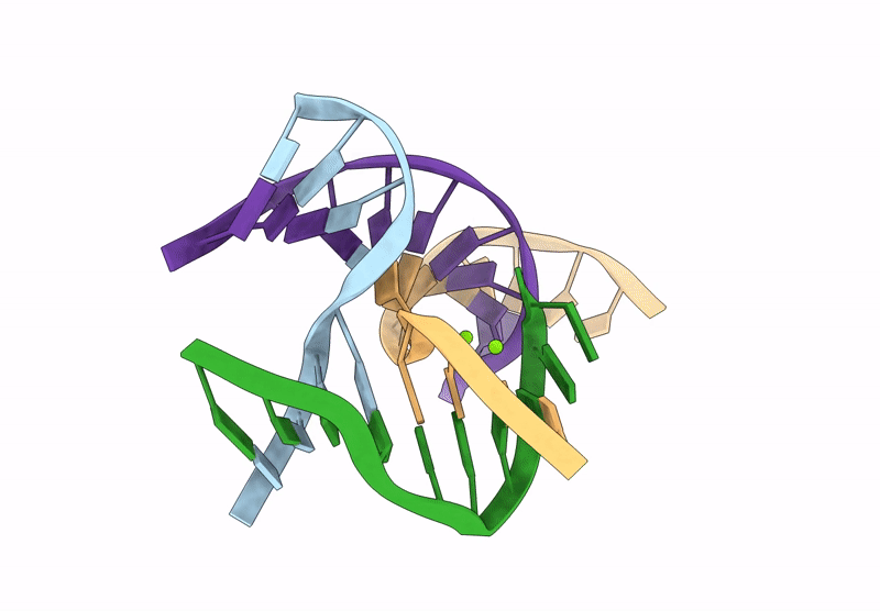 9NPV image