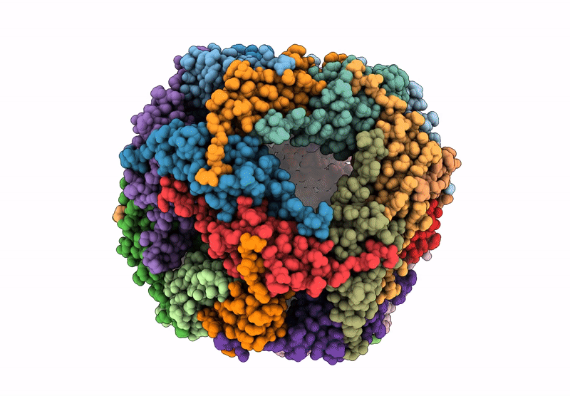9NVC image