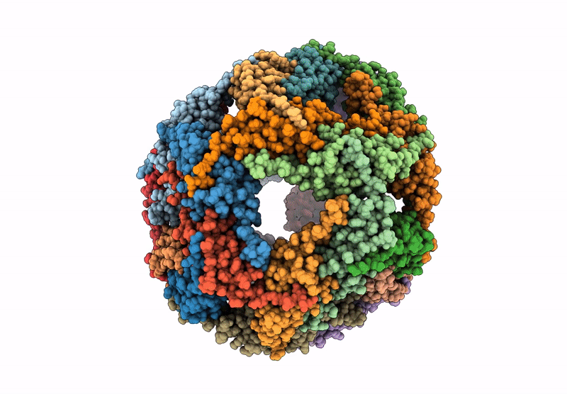 9NVF image