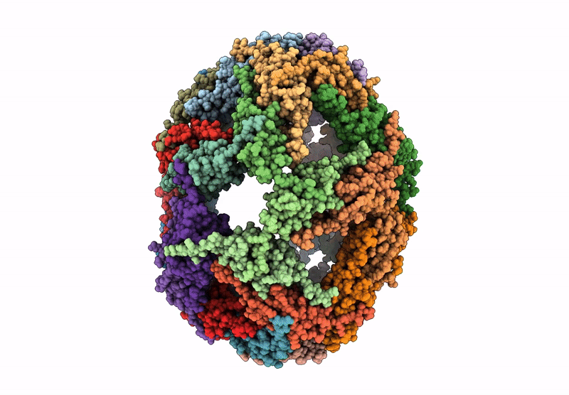 9NVJ image