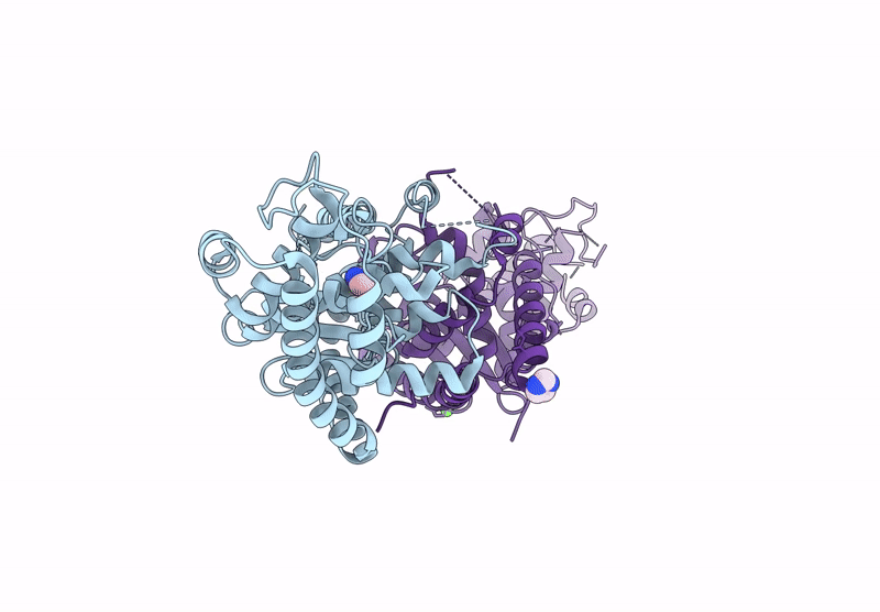 9O66 image